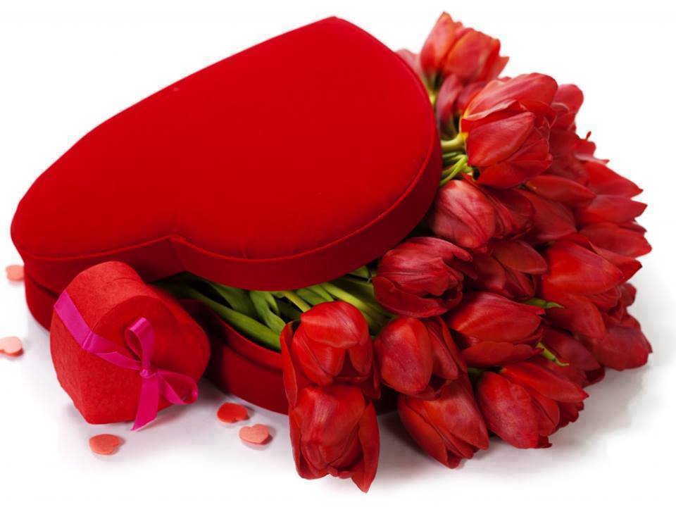 ვიდეორგოლი