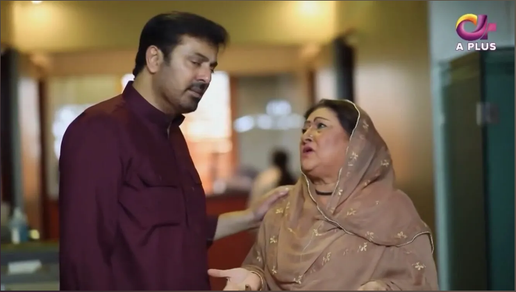 პაკისტანური სერიალები