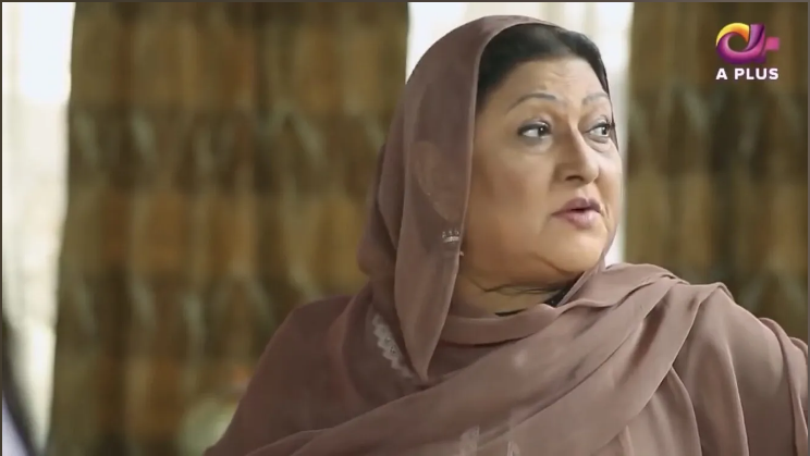 პაკისტანური სერიალები